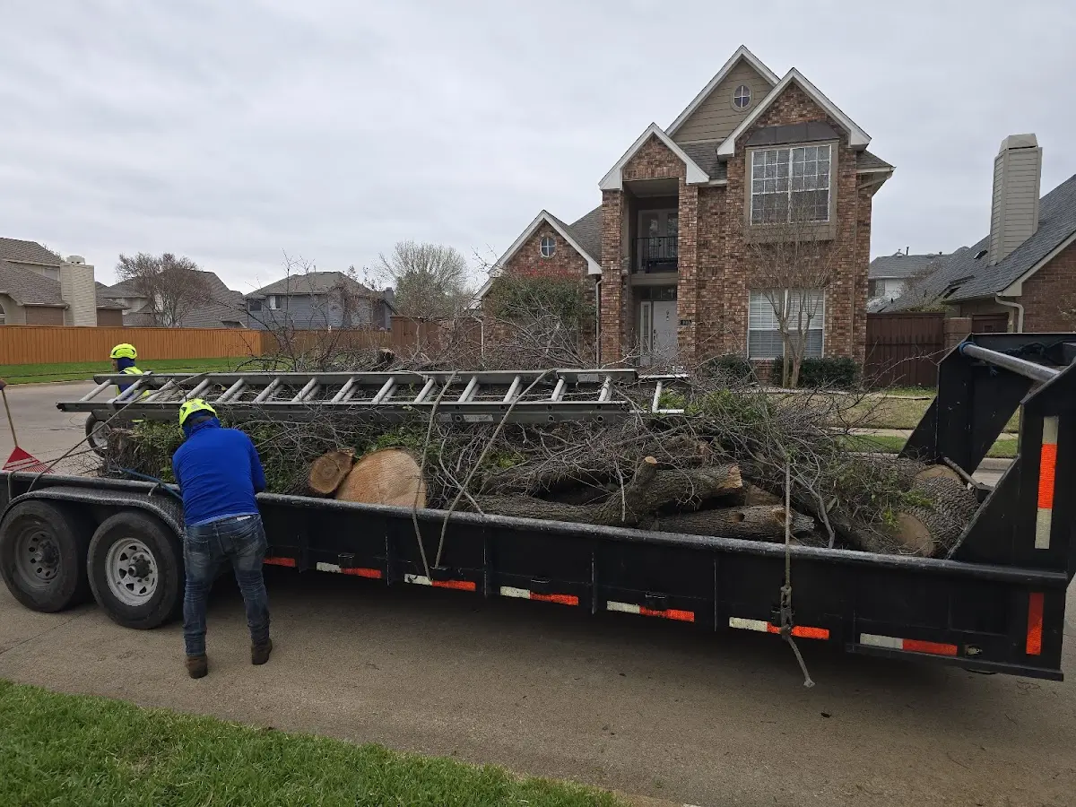 Expert Lot Clearing with proper safety equipment in Luning